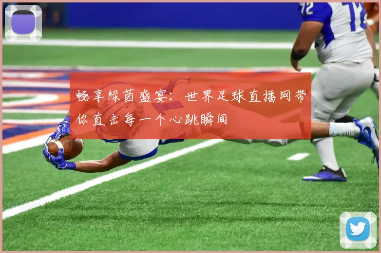 畅享绿茵盛宴：世界足球直播网带你直击每一个心跳瞬间