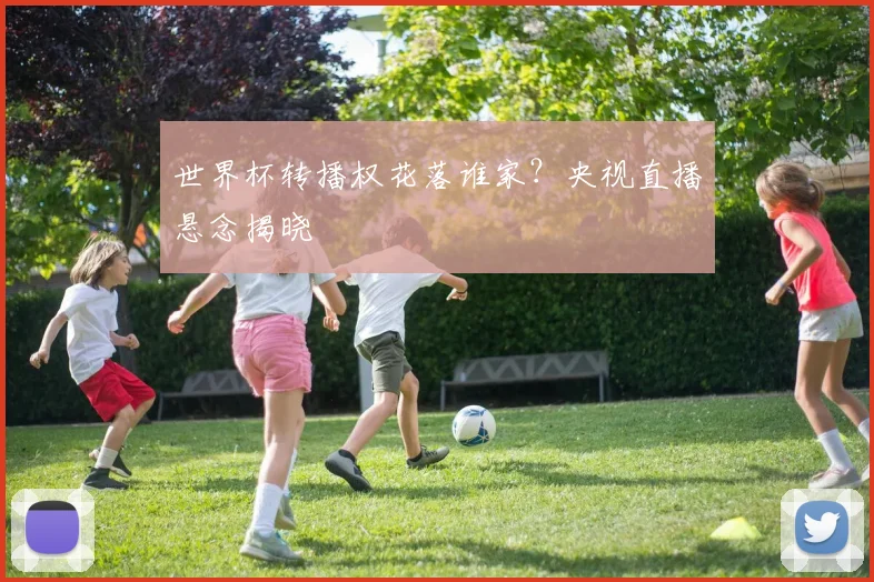 世界杯转播权花落谁家？央视直播悬念揭晓
